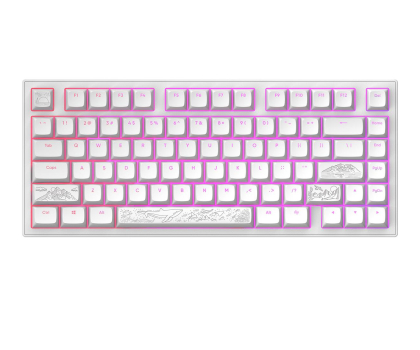 Klawiatura DARK PROJECT ALU Terra Nostra White Wired
